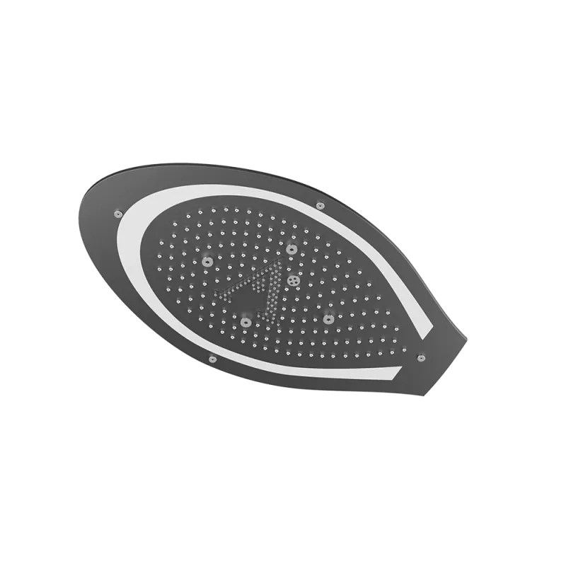 Artize Black Matt Tiaara Rainjoy AISI 304 stainless steel false ceiling shower in Black Matt