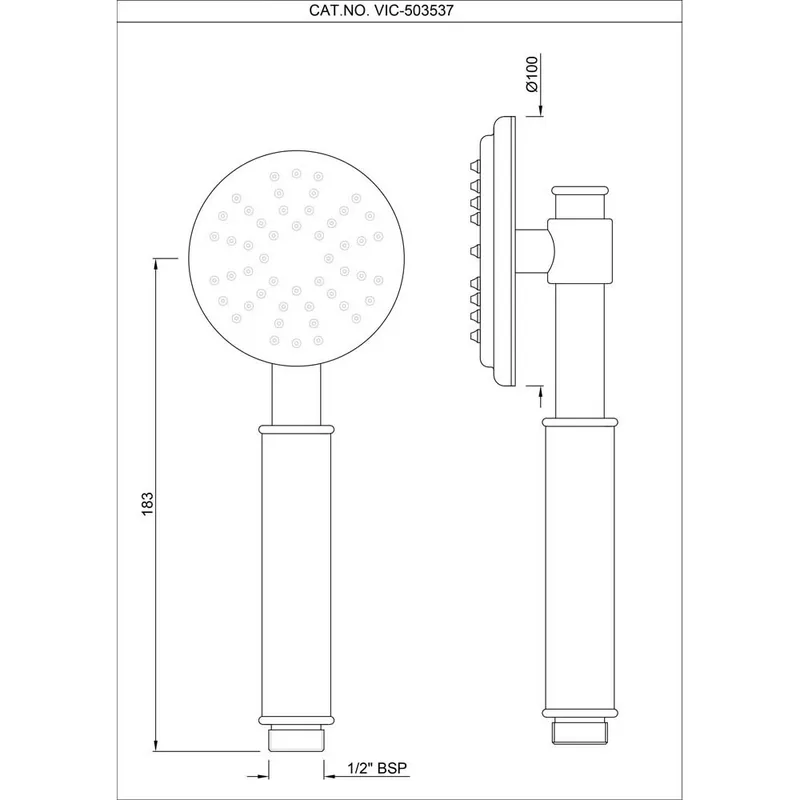 Technical drawing for Artize Chrome VIC Hand Shower 100mm Round