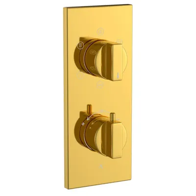 Artize Gold Bright PVD Thermatik-R Thermostatic shower valve with 5-way outlets in Gold Bright