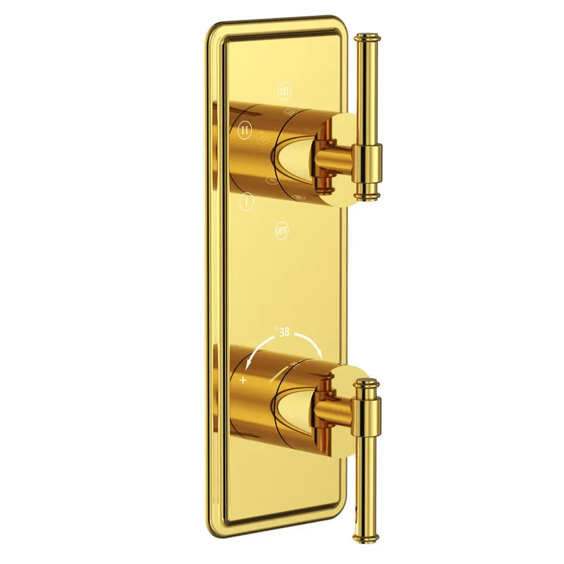 Artize Gold Bright PVD VIC Thermostatic Shower Mixer 5-way Outlets in Gold Bright
