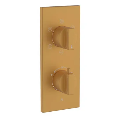 Artize Gold Matt PVD Thermatik-R Thermostatic shower valve with 5-way outlets in Gold Matt