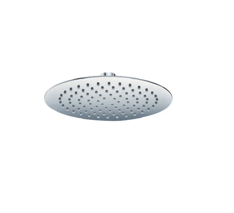 Ceiling Mounted Overhead Shower 250mmx2mm Chrome Plated in Chrome