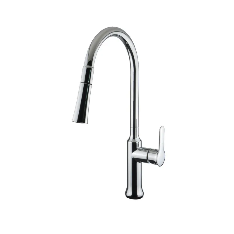 Veneto Pull Out Kitchen Mixer Tap Chrome in Chrome